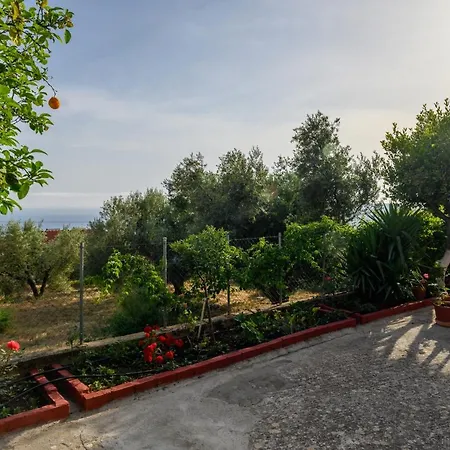 Buena Vista Appart hôtel