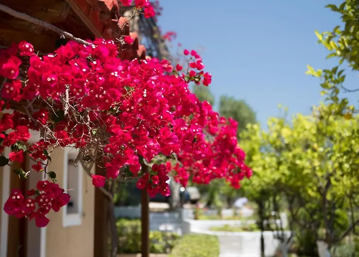 Buena Vista Apartahotel Lourdata (Kefalonia)