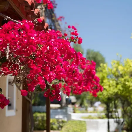 Buena Vista Ξενοδοχείο με διαμερίσματα Λουρδάτα