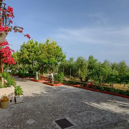 Ξενοδοχείο με διαμερίσματα Buena Vista Λουρδάτα