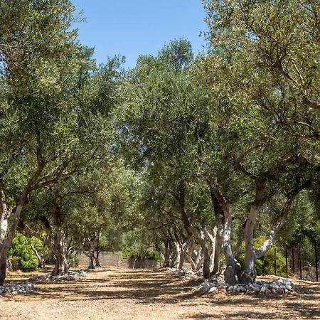 Ξενοδοχείο με διαμερίσματα Buena Vista Λουρδάτα