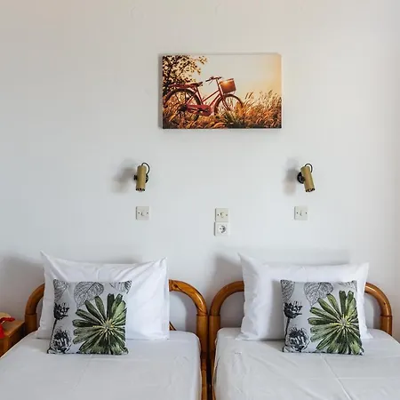 Buena Vista 3* ロウダータ